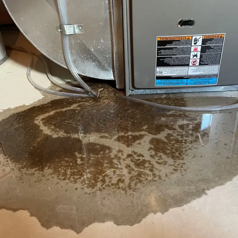 Pipe Burst and Leak Restoration in City of Staunton, VA