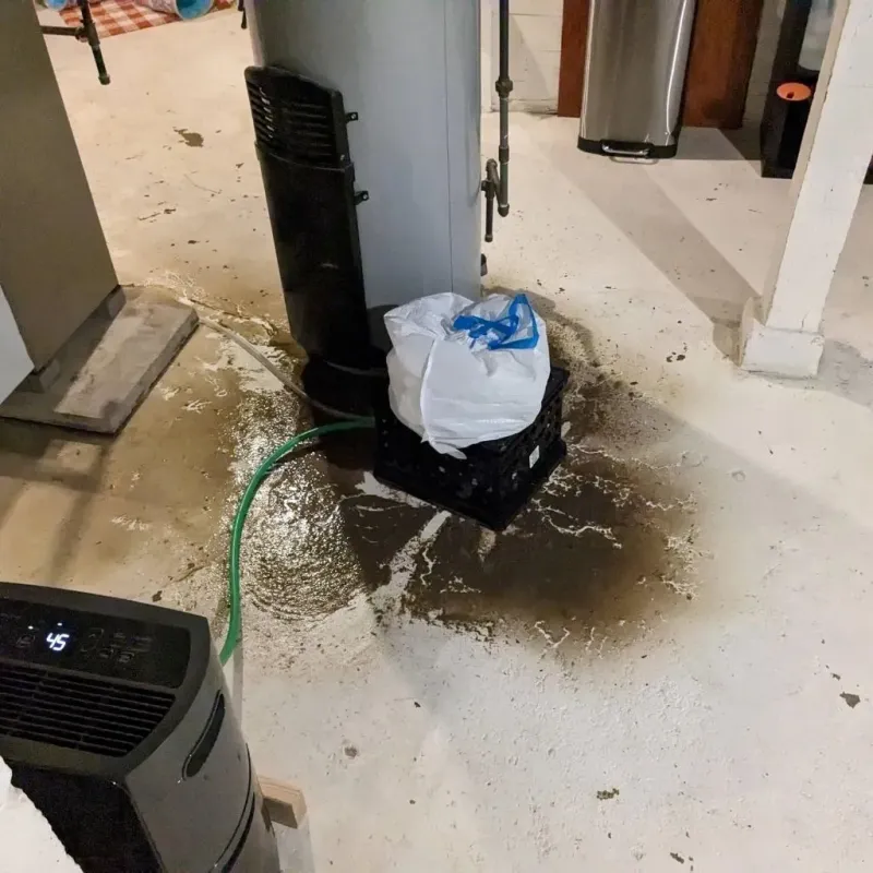 Sewage Backup Cleanup Service in City of Staunton, VA